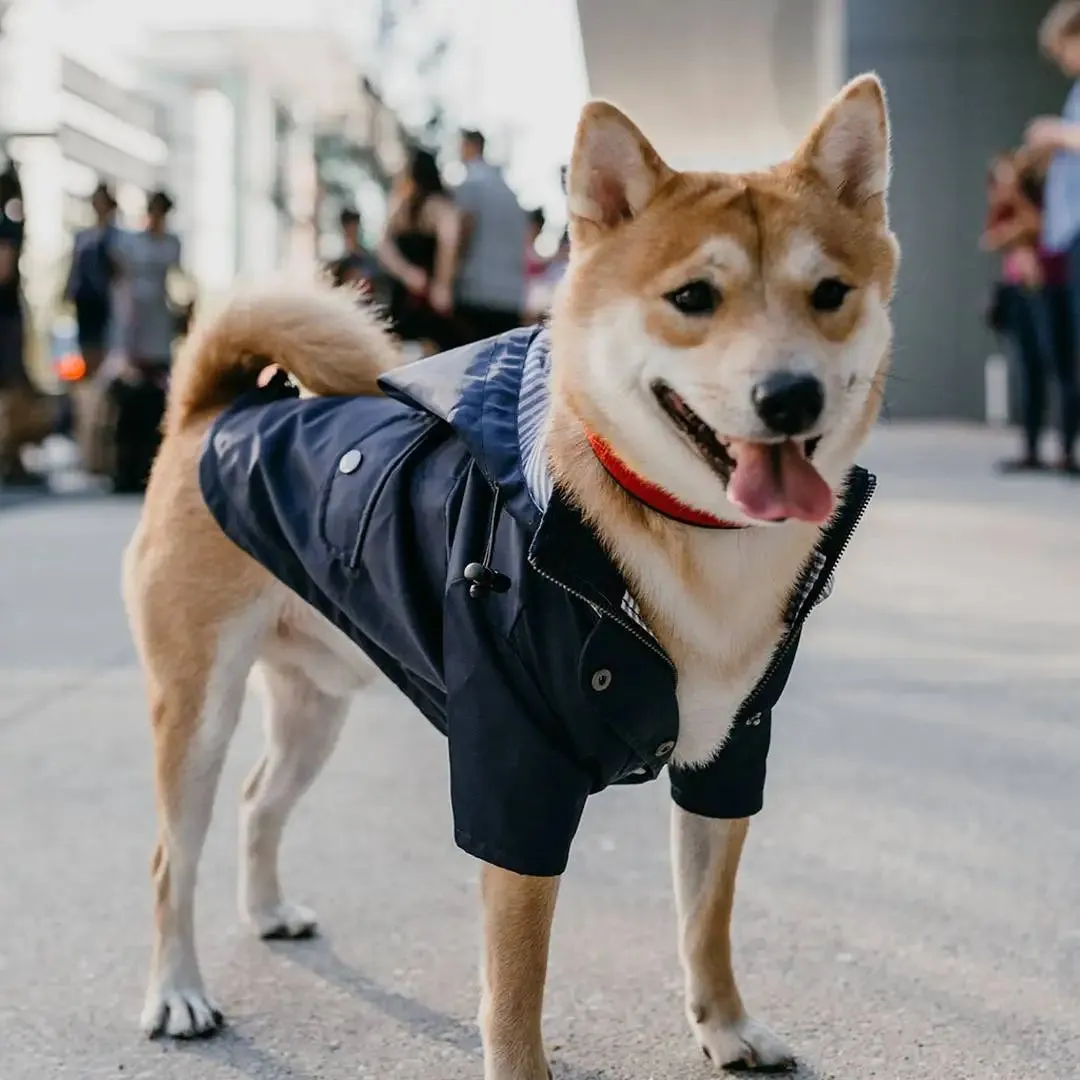 Chic Canine Fashion: Striped Hoodies for Dogs - Pet Clothes for Small, Medium, and Large Breeds, Including French Bulldogs, Yorkies, and Pugs - Stylish Windbreaker Costume PC1481