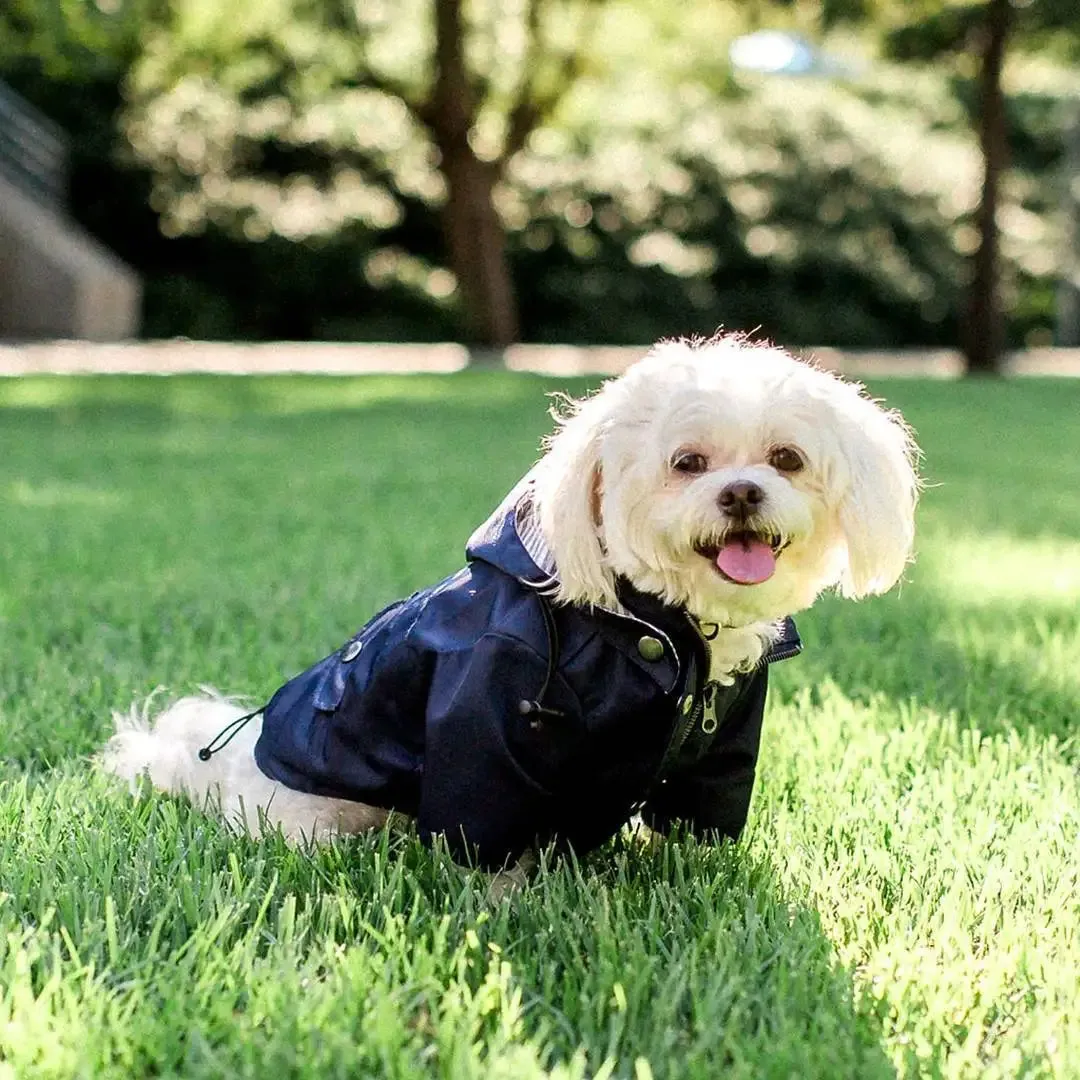 Chic Canine Fashion: Striped Hoodies for Dogs - Pet Clothes for Small, Medium, and Large Breeds, Including French Bulldogs, Yorkies, and Pugs - Stylish Windbreaker Costume PC1481