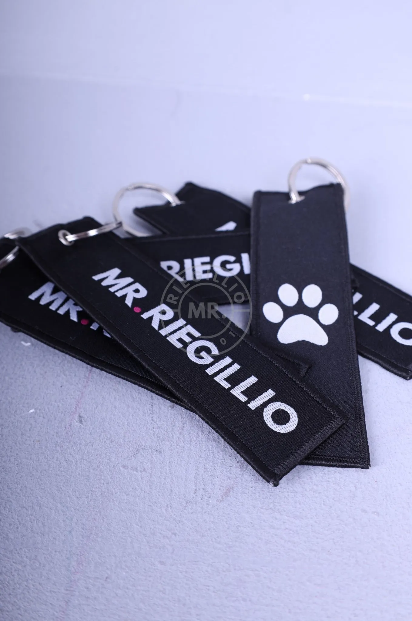 MR. Riegillio Puppy Keychain