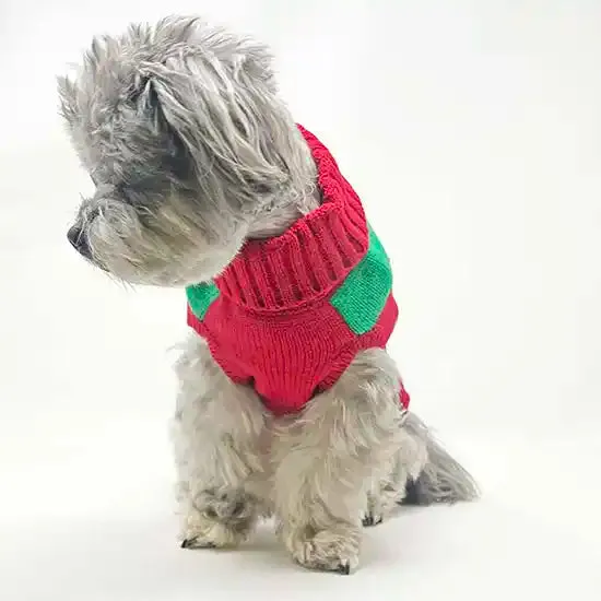 Rudolph Dog Sweater