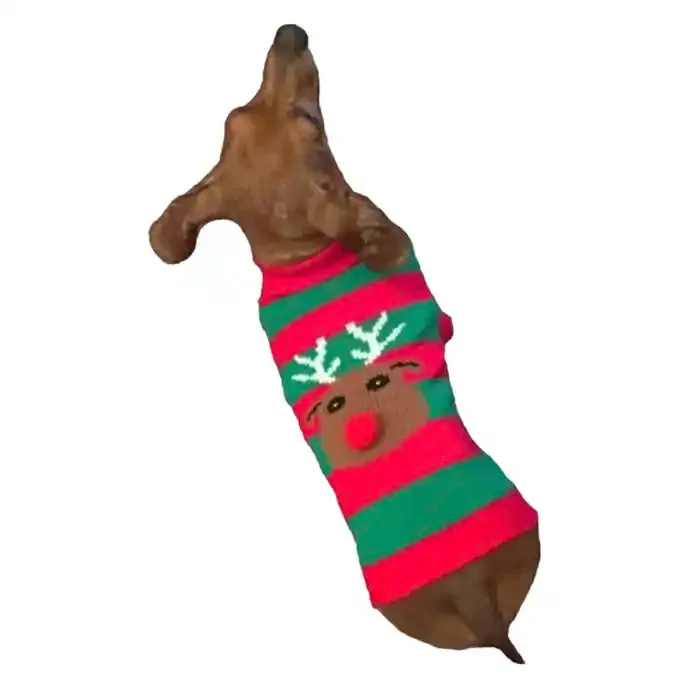 Rudolph Dog Sweater